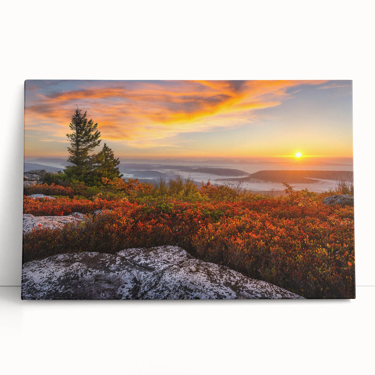 Black and white stretched canvas of Kentucky scenery, ideal for kitchen wall art or bedroom ambiance.