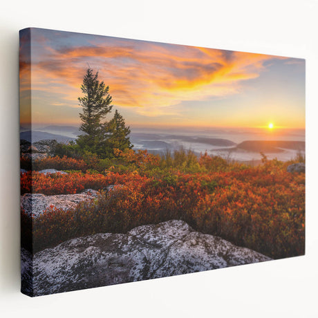Large canvas print of a Kentucky landscape in muted earth tones, suitable for kitchen wall art.