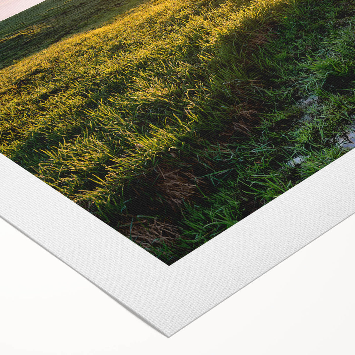 Art deco poster of Minnesota scenery in muted earth tones on rolled canvas, suitable for dining room wall art.