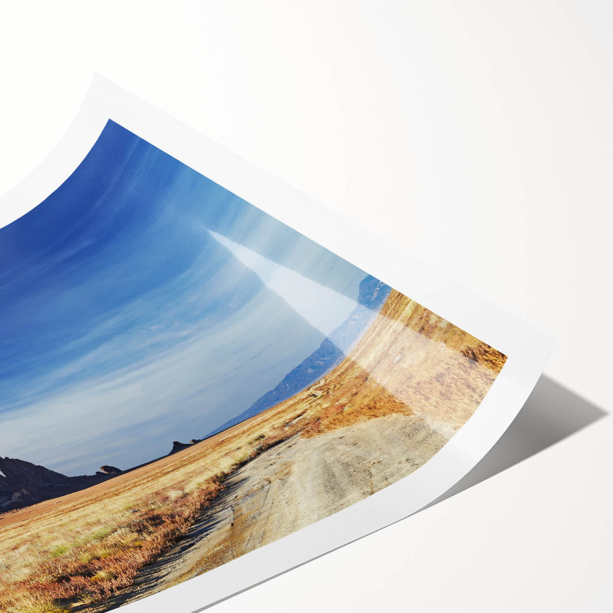 Extra large rolled print featuring line art flowers in muted earth tones, ideal for large living room wall art.