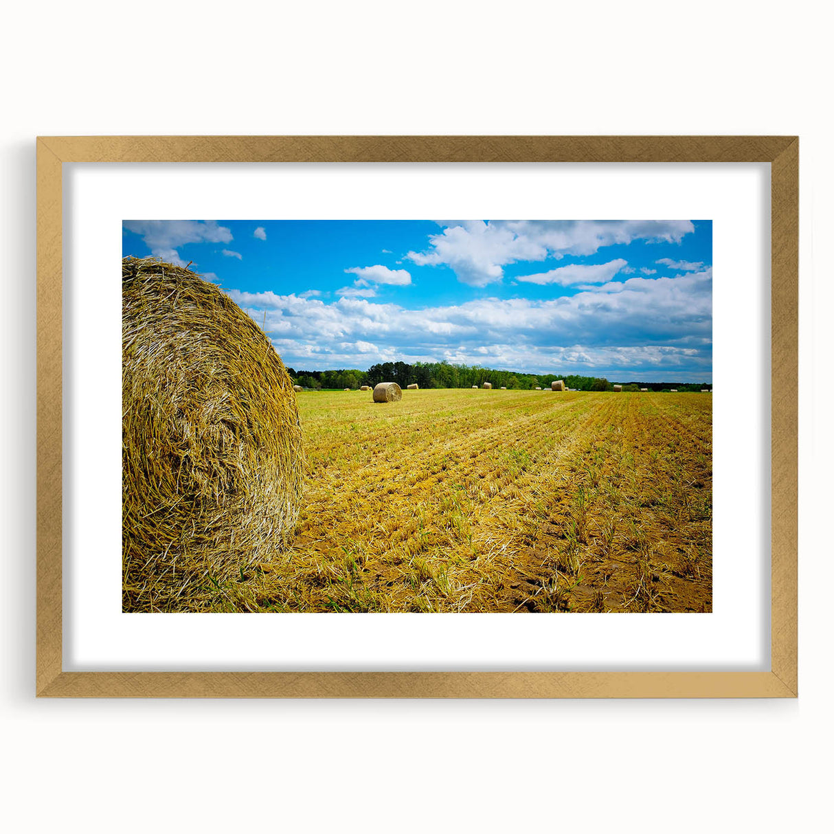 Extra large abstract art print of Raleigh skyline in textured gold frame, ideal for living room decor.