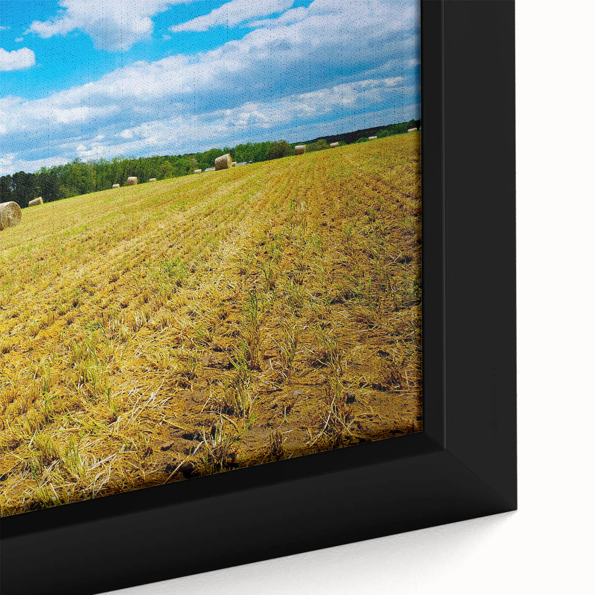 Framed canvas featuring a textured depiction of Raleigh, North Carolina, with vibrant colors on a black background.