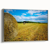 Framed canvas of a colorful Raleigh, North Carolina landscape with vintage poster style, ideal for living room decor.