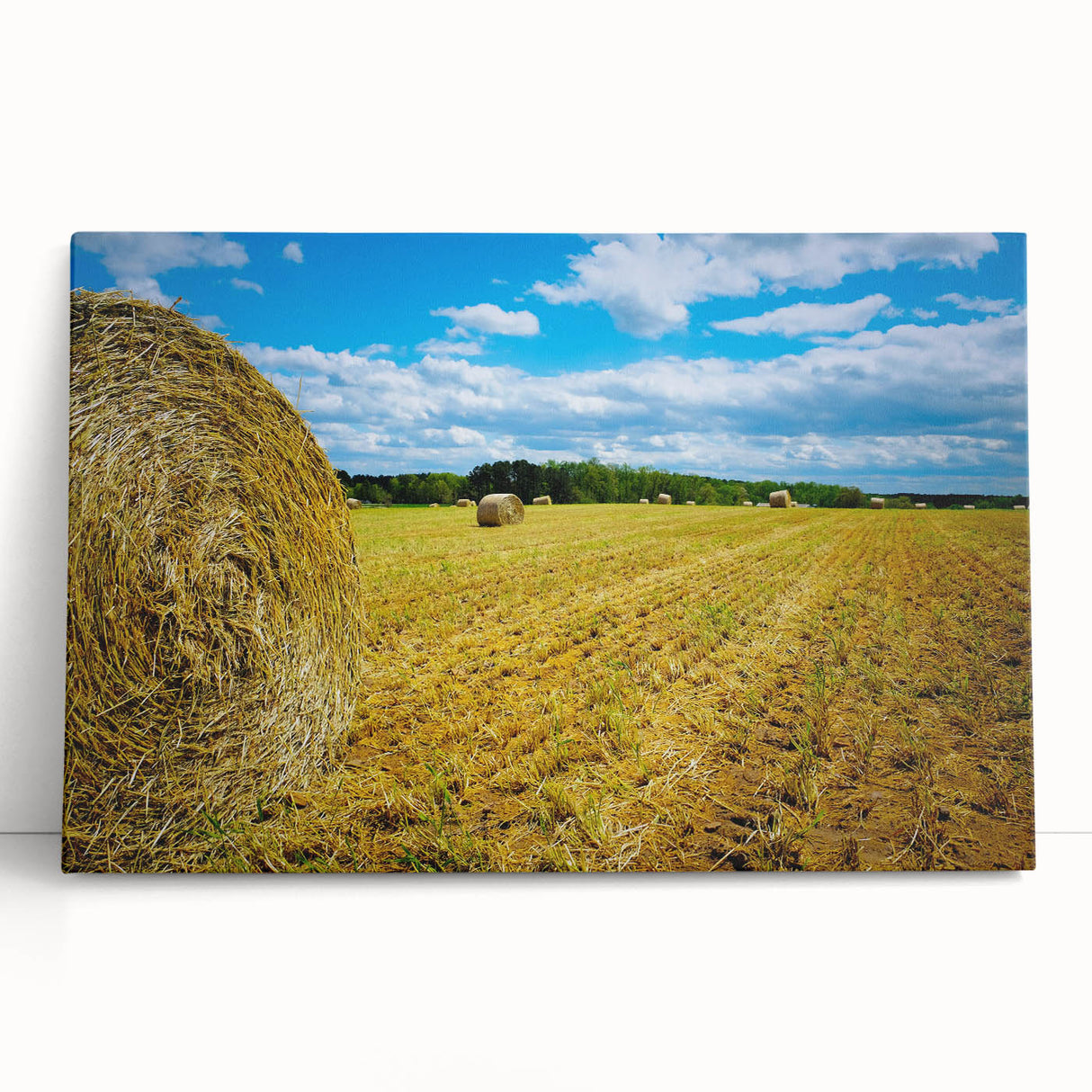 Black and white stretched canvas of Raleigh skyline, ideal for kitchen wall art or bedroom ambiance.