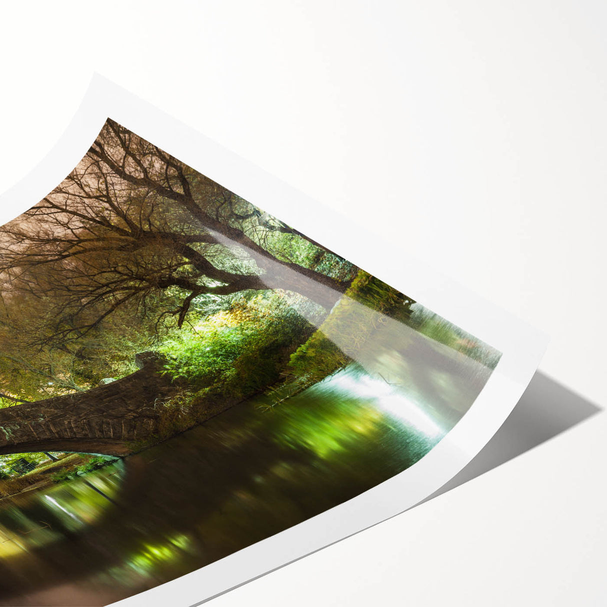 Extra large wall art of Central Park in line art style, featuring muted green and black tones on rolled print.