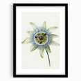 Famous Romantic Era Art: Passion Flower - Romantic Floral Canvas
