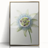 Famous Romantic Era Art: Passion Flower - Romantic Floral Canvas