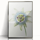 Famous Romantic Era Art: Passion Flower - Romantic Floral Canvas