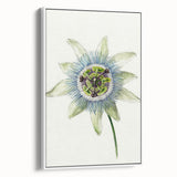 Famous Romantic Era Art: Passion Flower - Romantic Floral Canvas