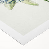 Famous Romantic Era Art: Passion Flower - Romantic Floral Canvas