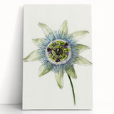 Famous Romantic Era Art: Passion Flower - Romantic Floral Canvas