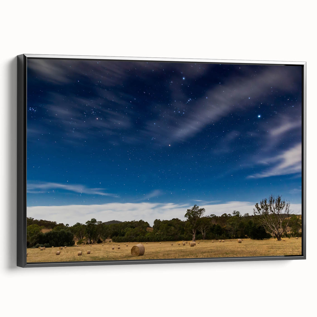 Black and white framed canvas of Adelaide landscape, ideal for bedroom wall art.