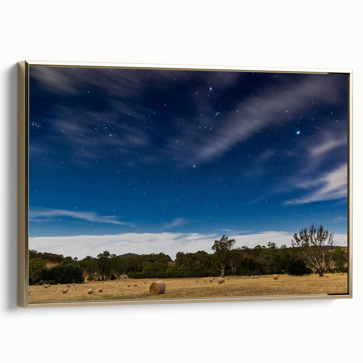 Framed canvas landscape art painting featuring a vintage-style Adelaide scenery in muted gold and black tones.