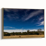 Framed canvas landscape art painting featuring a vintage-style Adelaide scenery in muted gold and black tones.