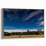 Vintage poster art of Adelaide scenery in vibrant colors on a large framed canvas, ideal for living room decor.