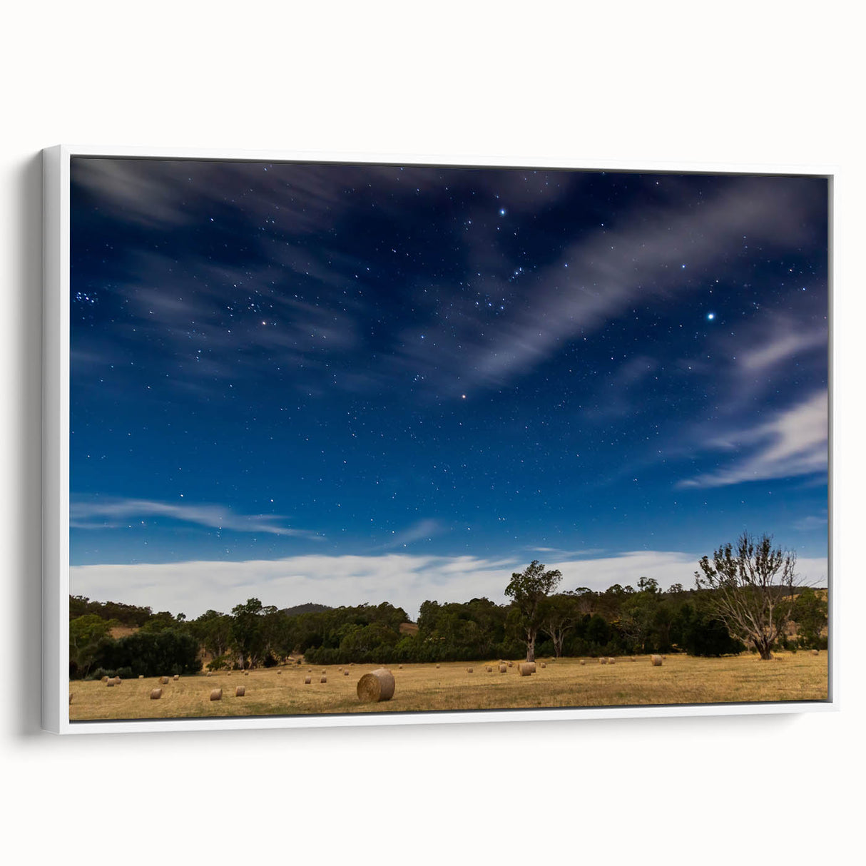Framed canvas depicting a vintage-style Adelaide landscape in muted earth tones, ideal for bedroom wall decor.