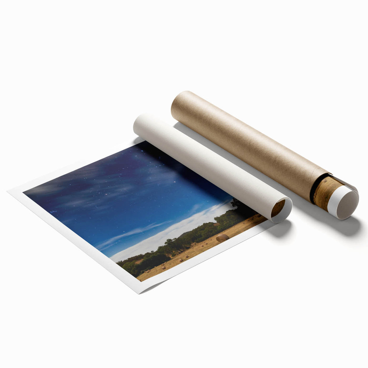 Extra large rolled print of Adelaide scenery with floral elements in soft colors, ideal for classy bathroom wall art.