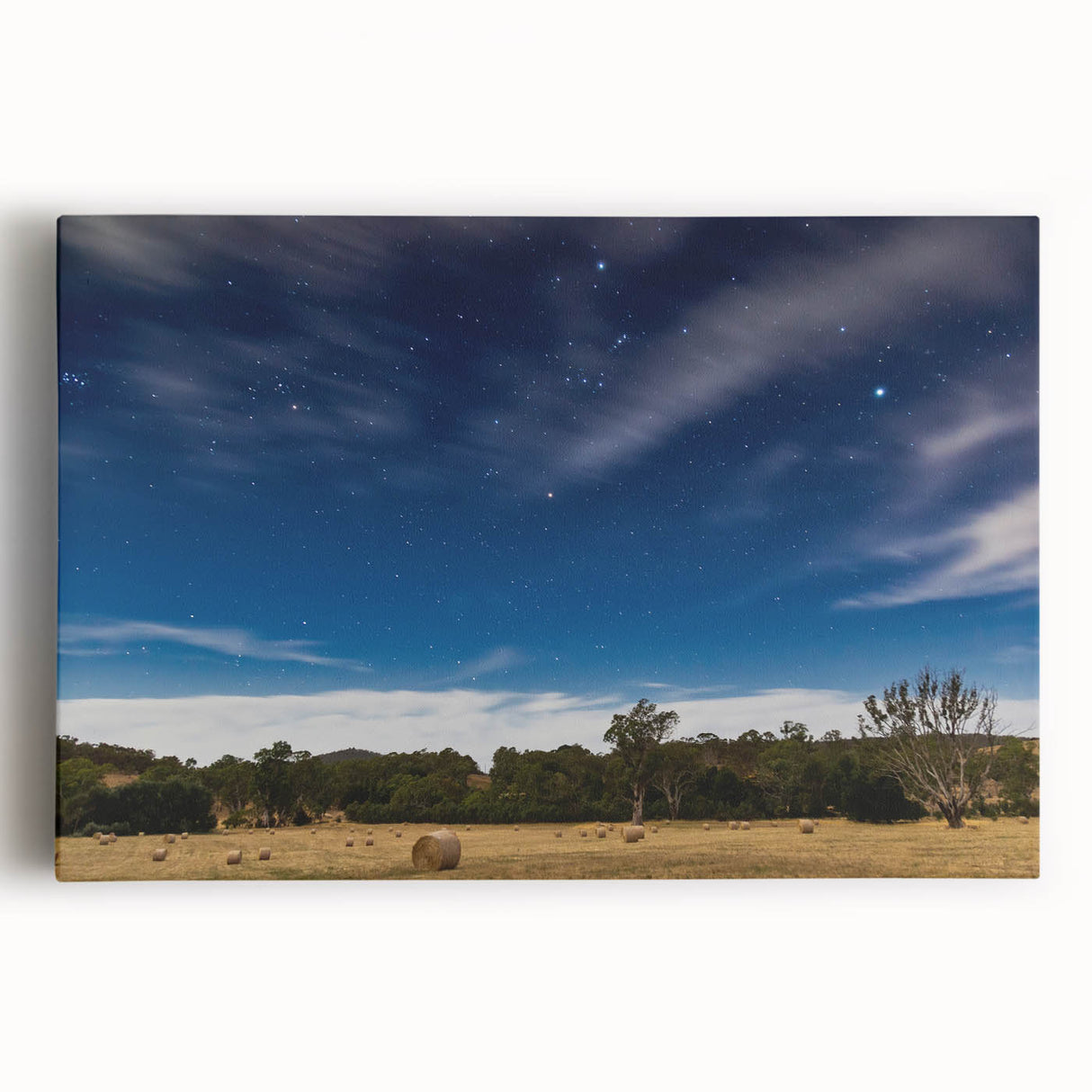 Black and white stretched canvas of Adelaide skyline, ideal for kitchen wall art.
