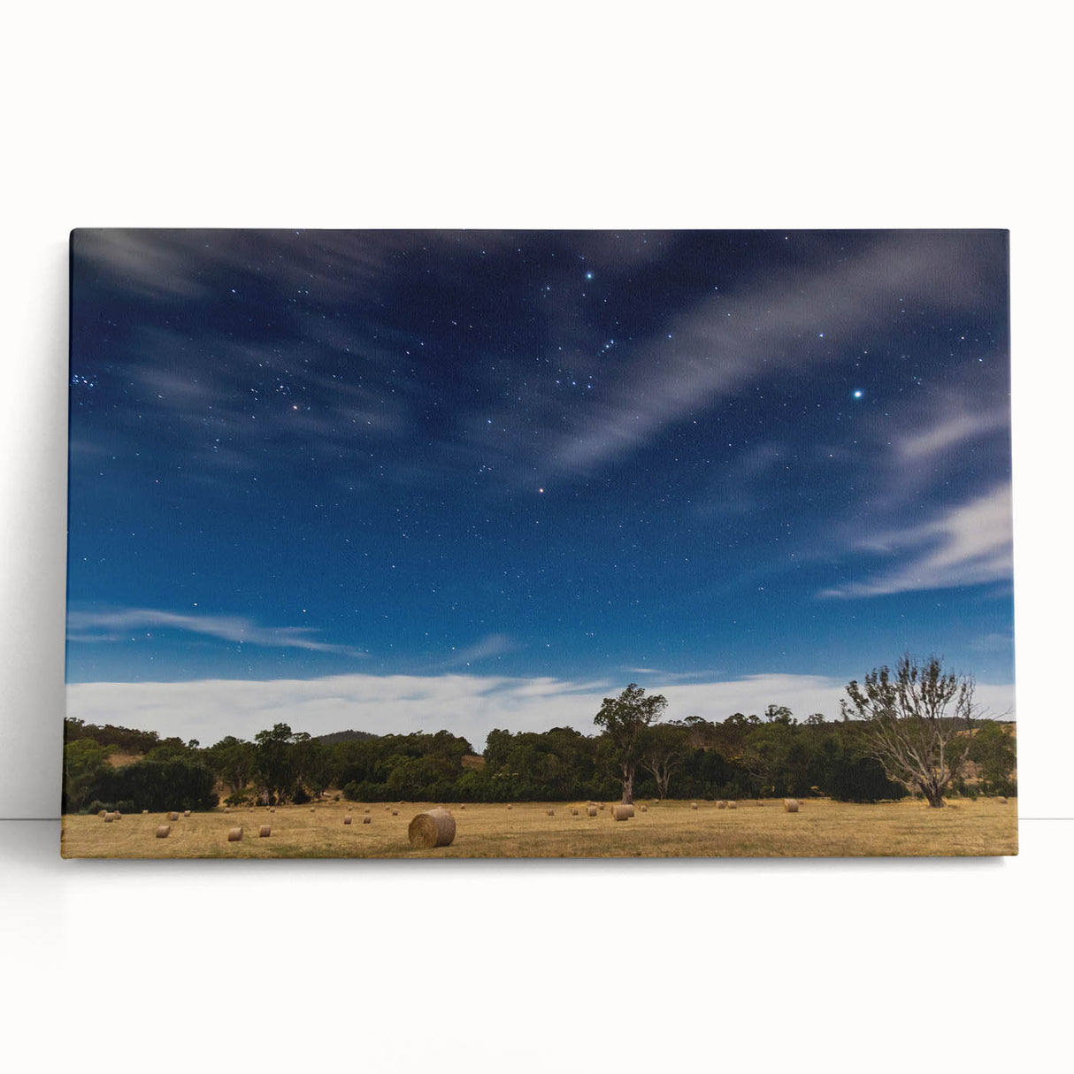 Black and white stretched canvas of Adelaide scenery, ideal for kitchen wall art or bedroom ambiance.