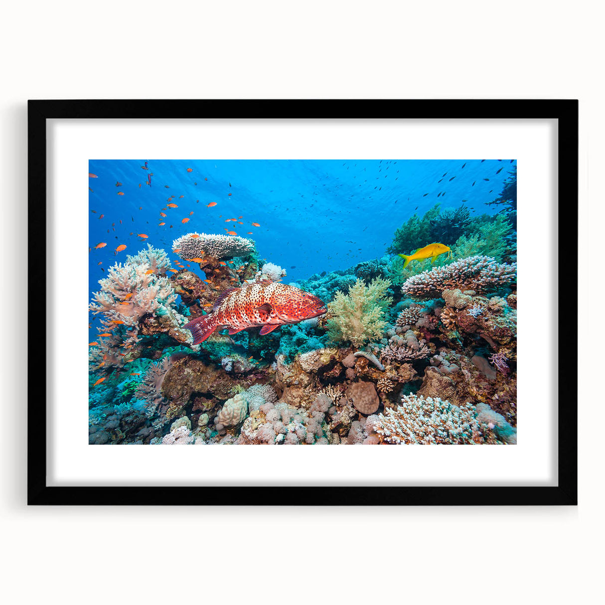 Abstract art print of the Great Barrier Reef in vibrant blues and greens on a large framed canvas.