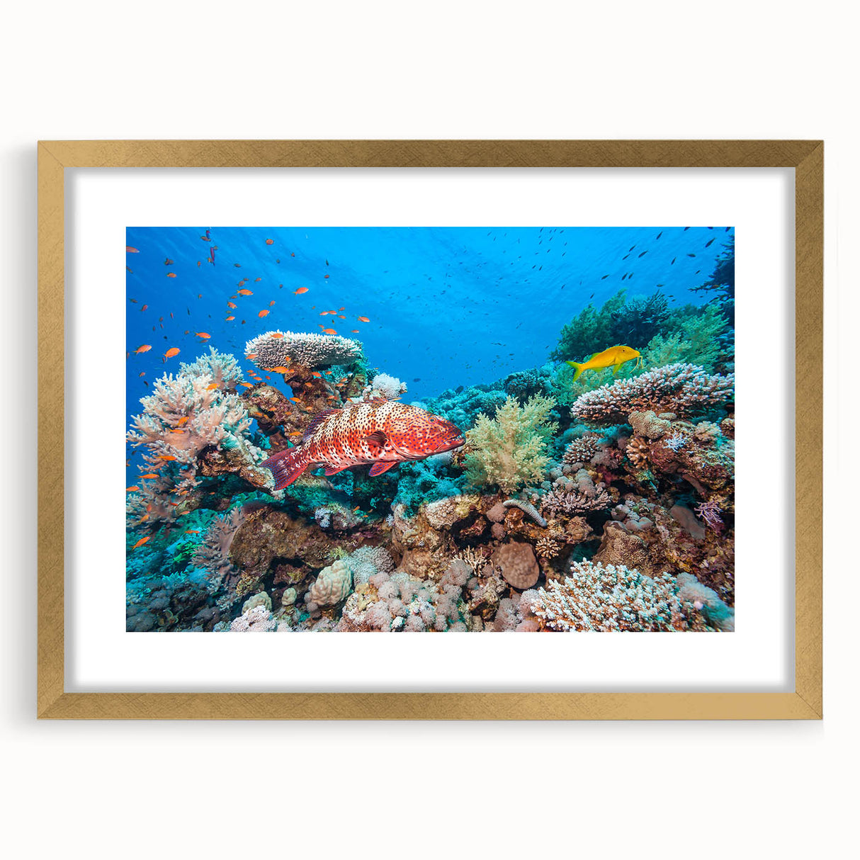 Textured abstract art print of the Great Barrier Reef in blue and green shades, framed in gold, suitable for bedroom decor.