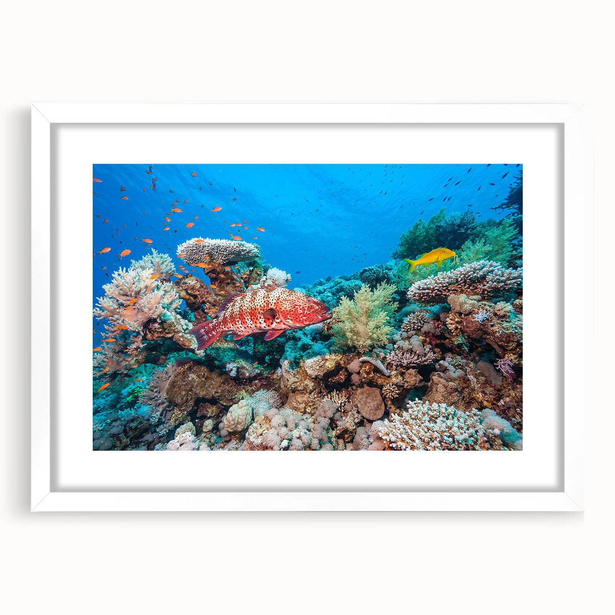 Extra large wall art depicting an abstract interpretation of the Great Barrier Reef in blue and green hues.