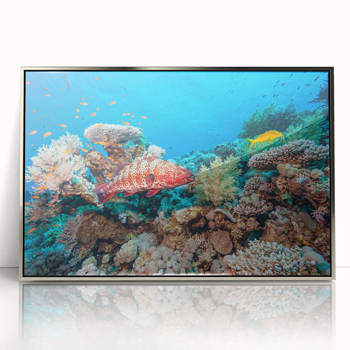 Acrylic print of the Great Barrier Reef in vibrant blues and greens, framed in silver, suitable for modern art wall decor.