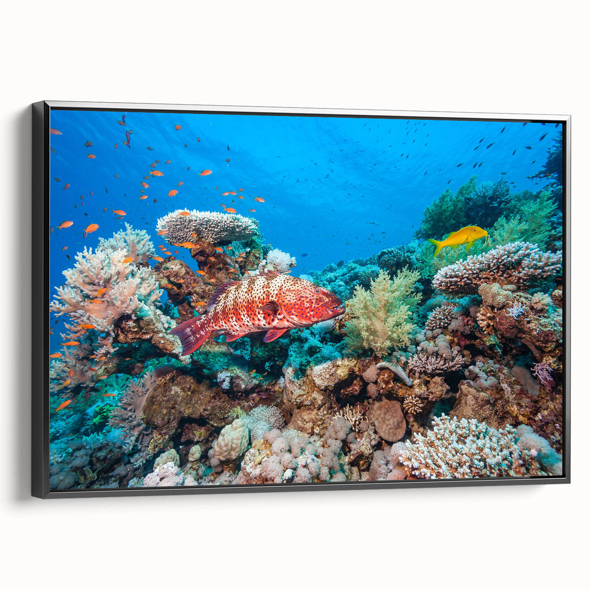 Framed canvas of a black and white Great Barrier Reef landscape, ideal for bedroom decor.