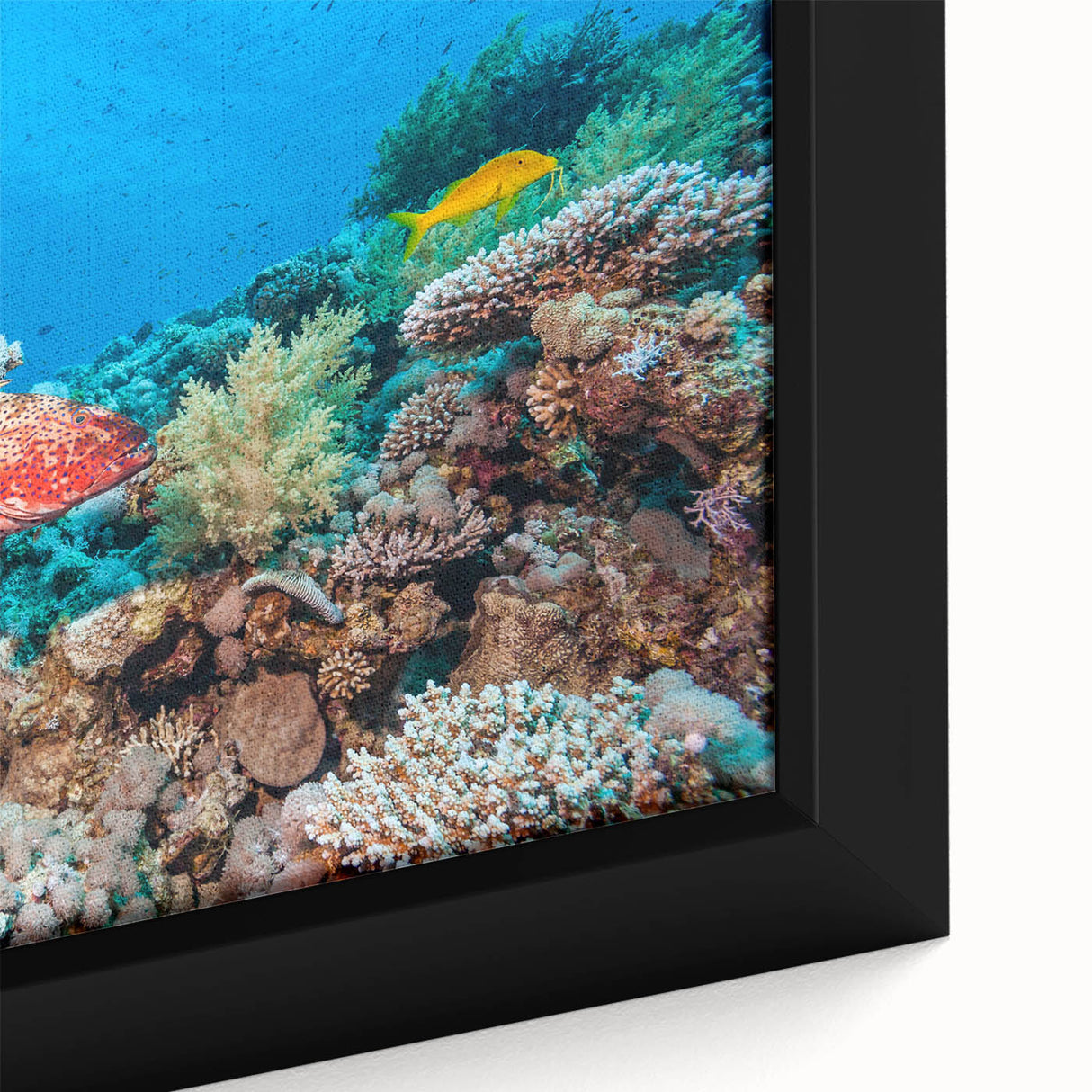 Extra large framed canvas featuring a textured depiction of the Great Barrier Reef in vibrant colors.