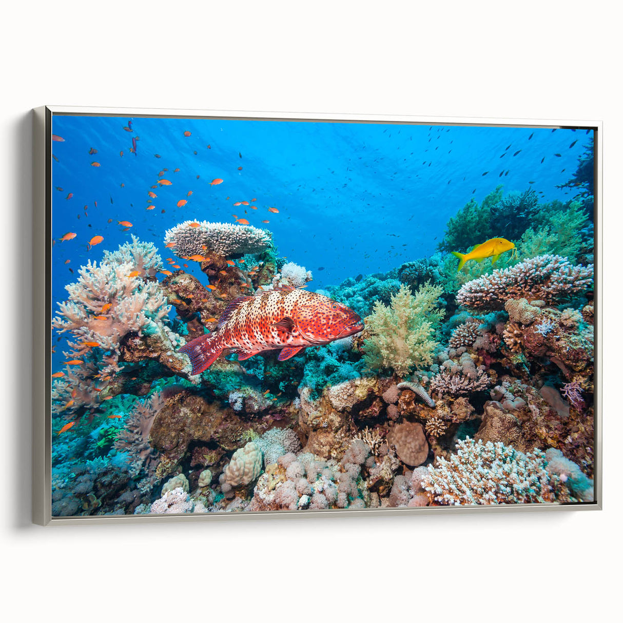 Vintage poster art of the Great Barrier Reef on extra large framed canvas, featuring vibrant marine colors.