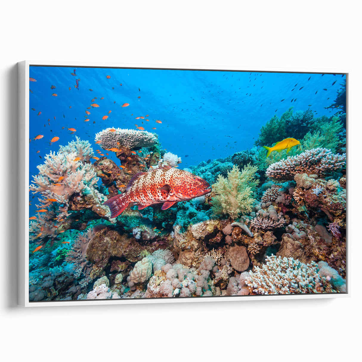 Framed canvas featuring a vintage poster art style of the Great Barrier Reef landscape in black and white tones.