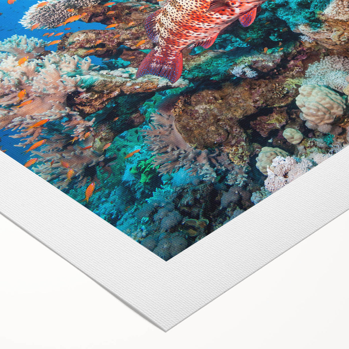 Art deco poster of the Great Barrier Reef in vibrant blue and green tones on rolled canvas, ideal for dining room wall art.
