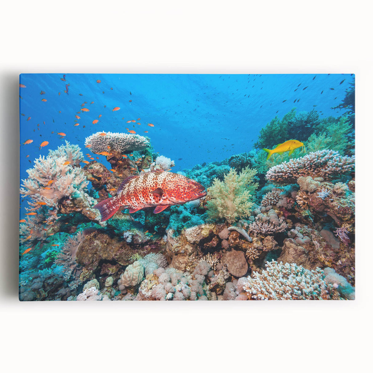 Black and white large art print of the Great Barrier Reef on stretched canvas, ideal for kitchen wall art.