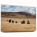 Acrylic print of a serene Alberta landscape in cool blue and green tones, ideal for bedroom or dining room decor.