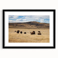 Abstract art print of a colorful textured scenery in Alberta, Canada on a large framed canvas, ideal for living room decor.