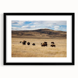 Abstract art print of a colorful textured scenery in Alberta, Canada on a large framed canvas, ideal for living room decor.