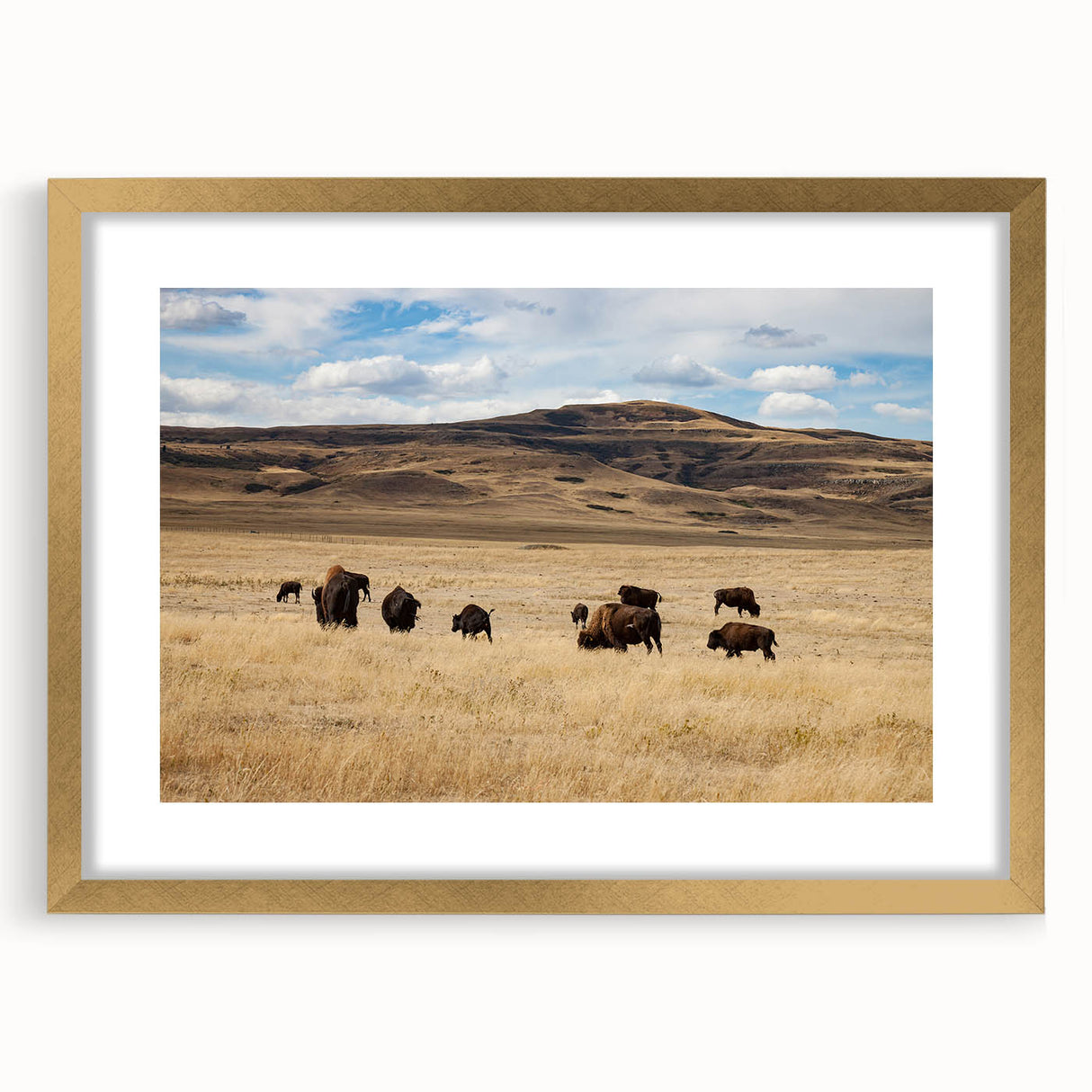 Extra large textured abstract art print of Alberta scenery in gold frame, ideal for living room decor.
