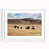 Abstract art print of Alberta scenery in muted earth tones, framed with a white mat, ideal for dining room decor.