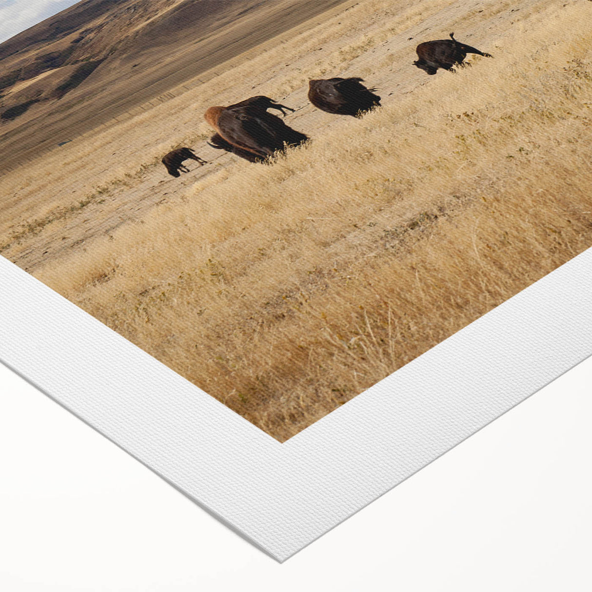 Art deco poster of Alberta, Canada scenery on rolled canvas, featuring muted earth tones, ideal for dining room wall art.