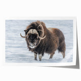Extra large rolled print of Northwest Territories scenery with muted earth tones, ideal for art wall dining room.