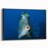 Black and white landscape art painting of Caribbean Aruba on framed canvas, ideal for bedroom wall decor.