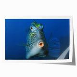 Extra large rolled print of Caribbean Aruba scenery with lush florals in vibrant hues, ideal for dining room wall art.