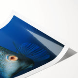 Extra large rolled print featuring line art flowers in muted pastels, ideal for large living room wall art.