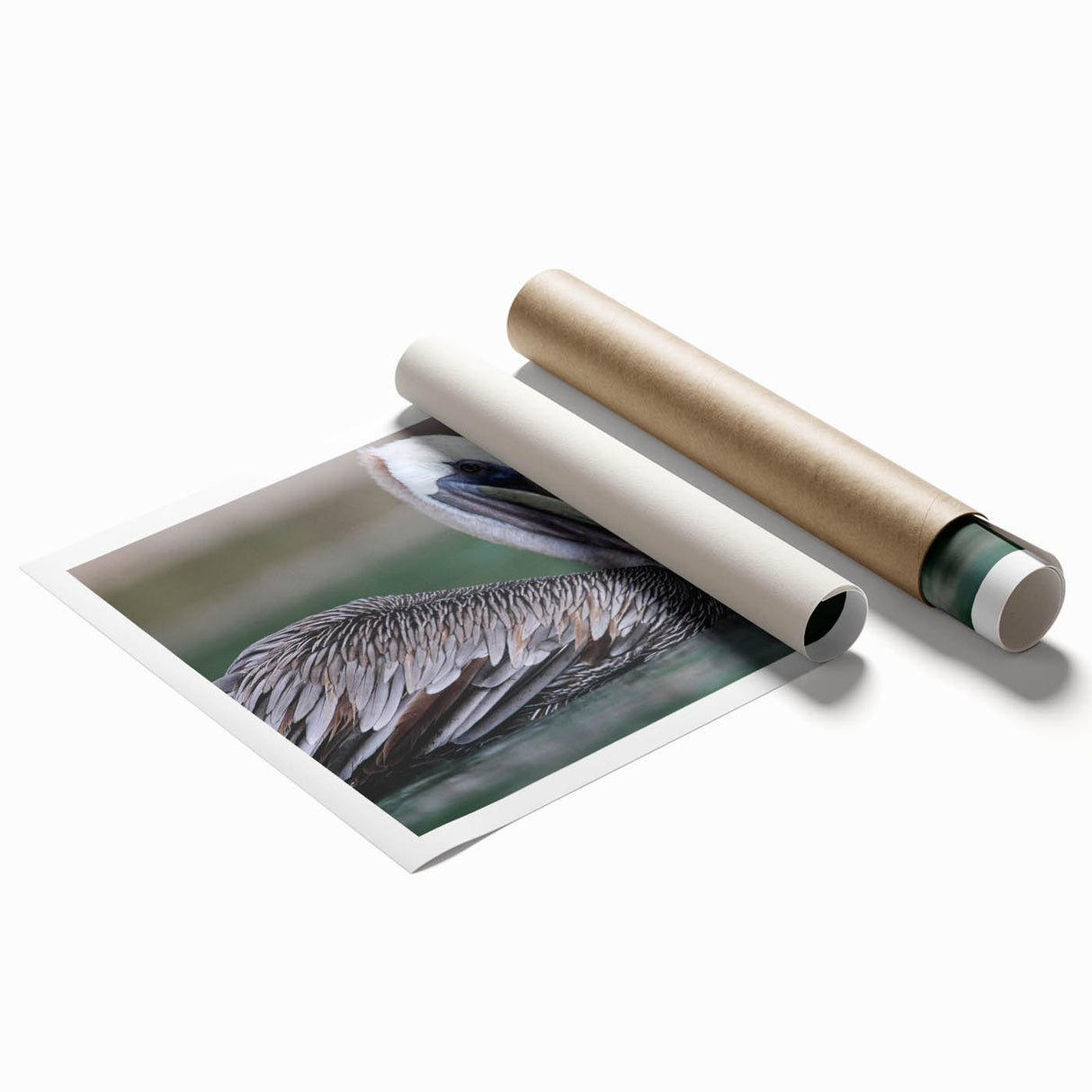 Rolled print of Caribbean Virgin Islands scenery with vivid blue ocean and lush greenery, ideal for classy bathroom wall art.