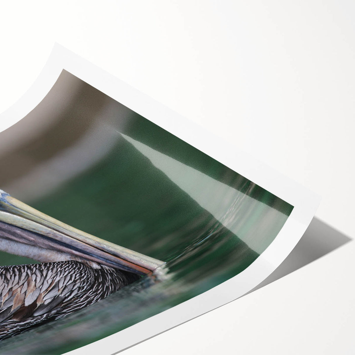 Extra large rolled print of line art flowers with subtle hues, ideal for large living room wall art.
