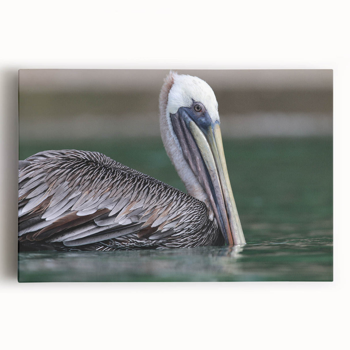 Black and white photograph of the Caribbean Virgin Islands on stretched canvas, ideal for kitchen art.