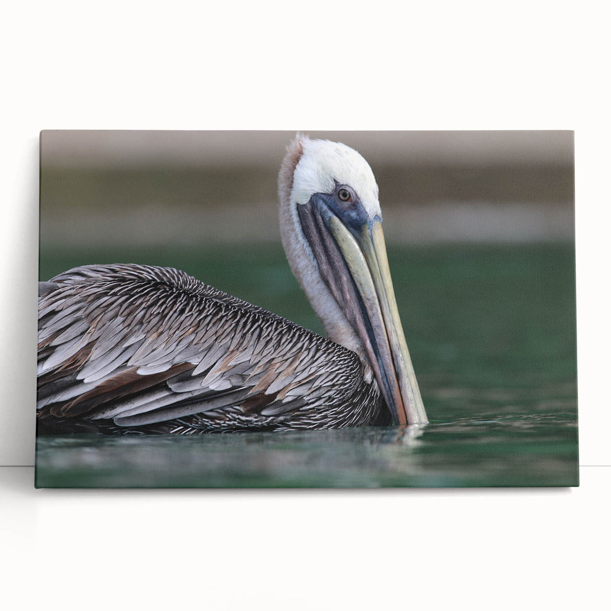 Black and white stretched canvas of Caribbean Virgin Islands scenery, ideal for kitchen wall art or bedroom.