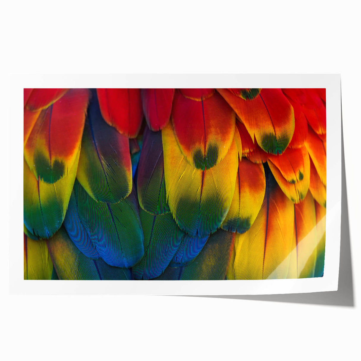 Rolled print of a Costa Rican landscape with lush greenery and floral elements, suited for art wall dining room.
