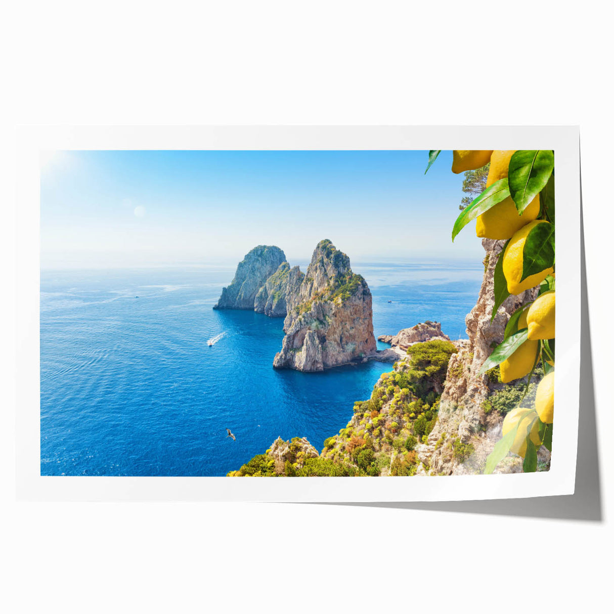Rolled print of Capri, Italy scene with vibrant floral foreground and serene blue sea, ideal for art wall dining room.