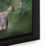 Extra large framed canvas depicting a textured, colorful Scandinavian landscape in black, ideal for living room decor.
